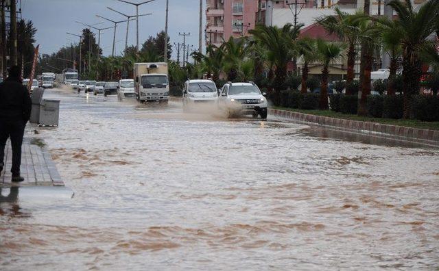 Sele Meydan Okudular