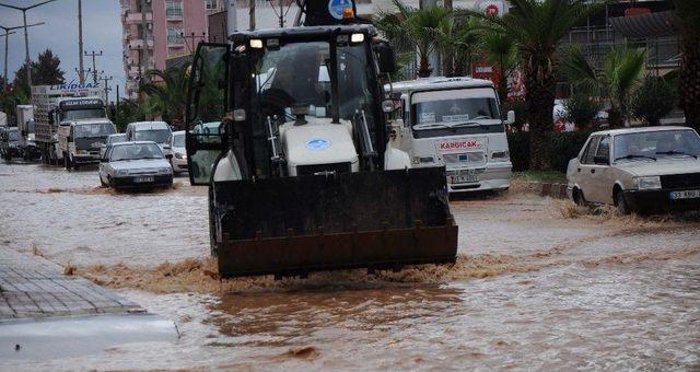 Sele Meydan Okudular