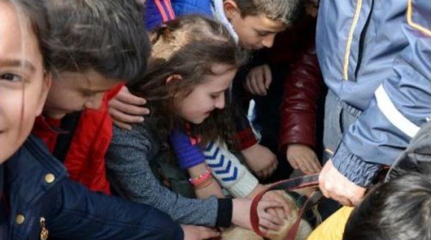 'herk&uuml;l'&uuml;n Zor Anları