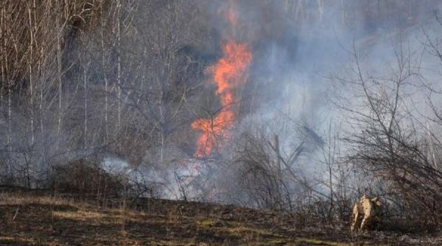 &Ccedil;alılık Yangını Evlere Sı&ccedil;ramadan S&ouml;nd&uuml;r&uuml;ld&uuml;