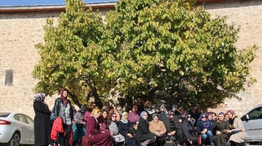 Elazığ Belediyesi Spor Merkezlerine Yoğun İlgi