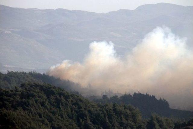 Hatay’ın Suriye Sınırında Orman Yangını