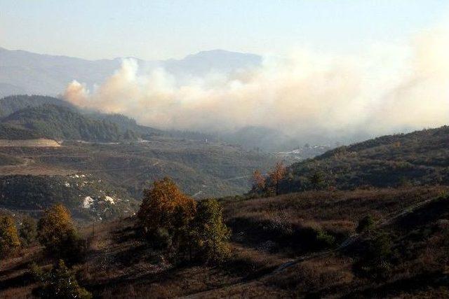 Hatay’ın Suriye Sınırında Orman Yangını