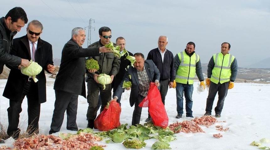 Yaban Hayvanlarına Yem Bırakıldı