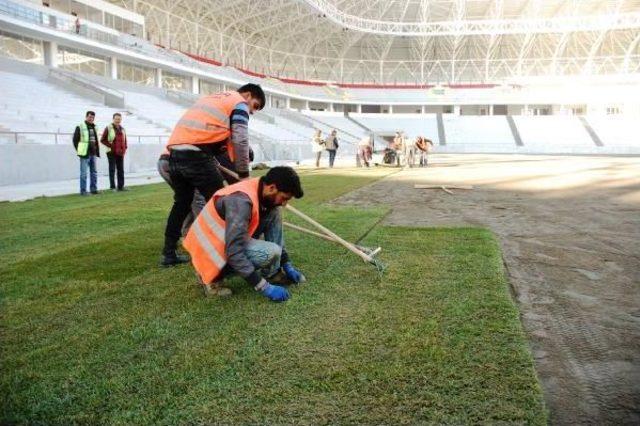 Malatya Arena Stadı'nın Çimleri Serilmeye Başlandı