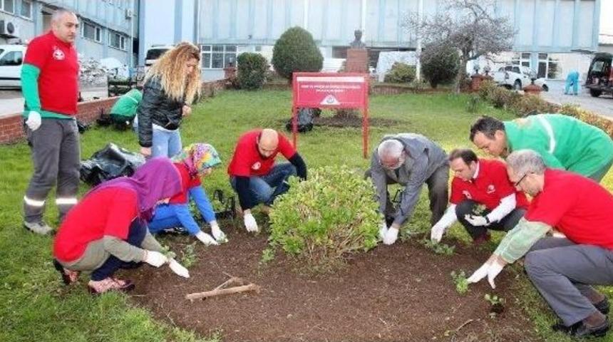 Büyükşehir Belediyesi’nin Gönüllüleri Hastane Bahçesini Çiçeklendirdi