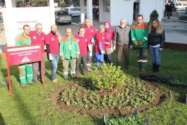 Büyükşehir Belediyesi’nin Gönüllüleri Hastane Bahçesini Çiçeklendirdi