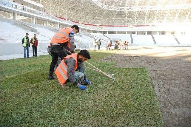 Malatya Arena Stadı’nın Çimleri Serilmeye Başlandı