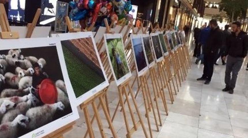 Tarım Ve İnsan Fotoğraf Sergisi Nata Vega&rsquo;da