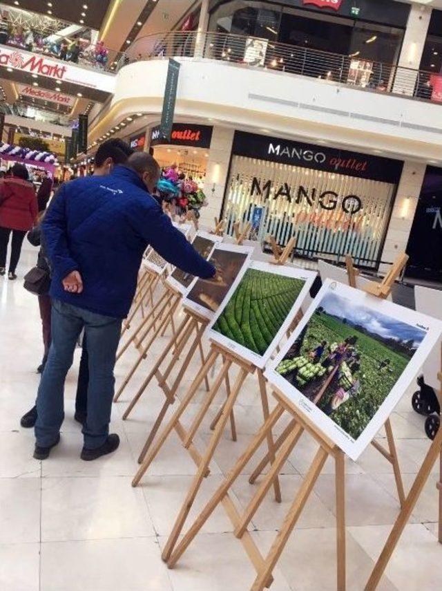 Tarım Ve İnsan Fotoğraf Sergisi Nata Vega’da