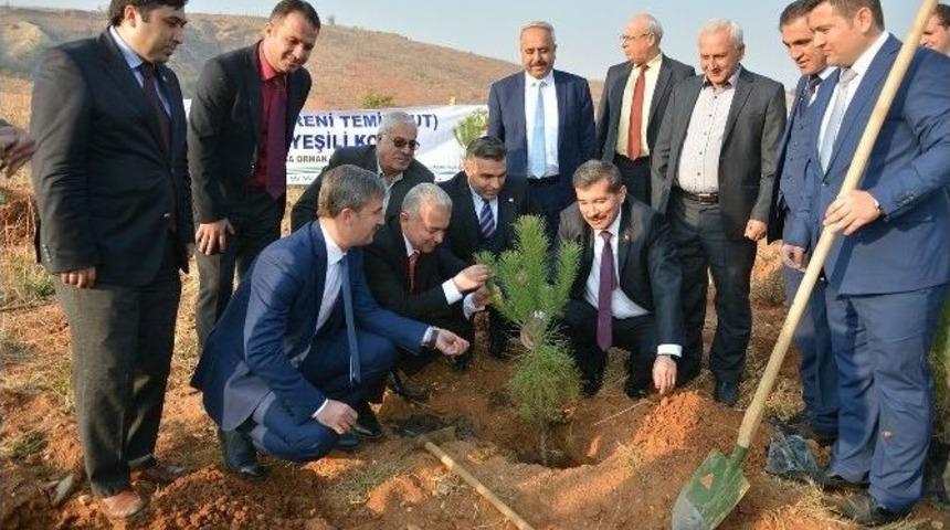 Şehit Kaymakam Ve 15 Temmuz Şehitleri Anısına Hatıra Ormanı