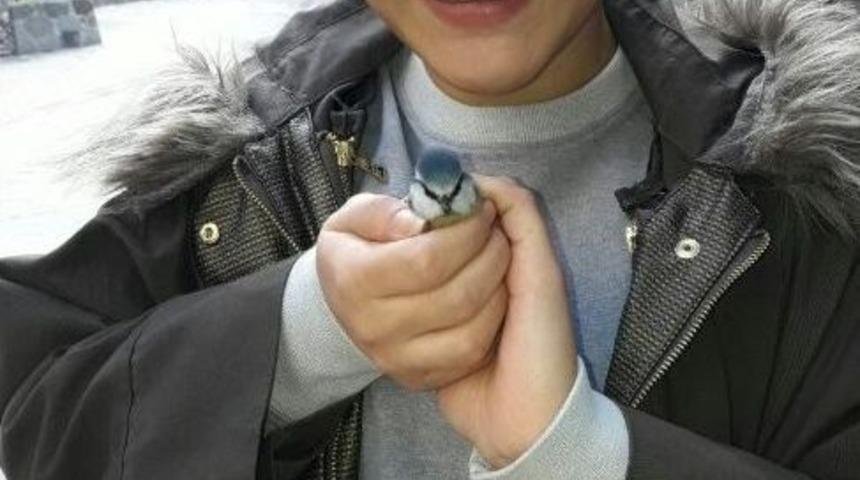 Duyarlı Vatandaştan Yaralı Kuşa Yardım