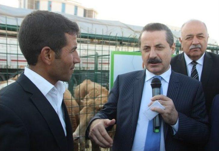 Bakan Çelik Büyükbaş Teslim Törenine Katıldı G2