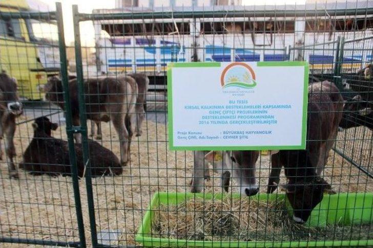 Bakan Çelik Büyükbaş Teslim Törenine Katıldı G5