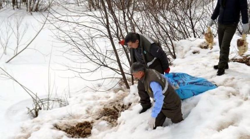 Yaban Hayat G&uuml;n&uuml;'nde Doğaya Yem Bıraktılar