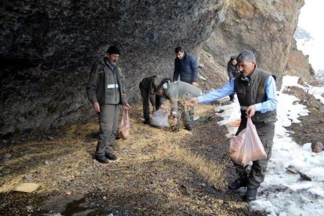 Yaban Hayat Günü'nde Doğaya Yem Bıraktılar