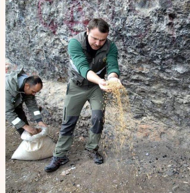 Yaban Hayat Günü'nde Doğaya Yem Bıraktılar