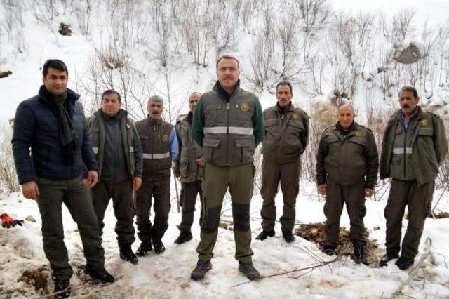 Yaban Hayat Günü'nde Doğaya Yem Bıraktılar