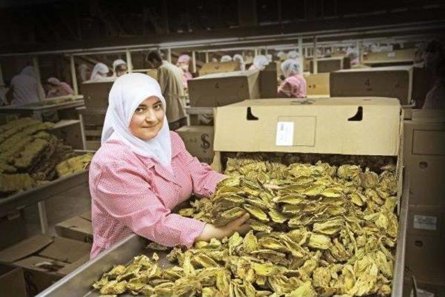 Ege Ihracatı Şubat Ayında Yüzde 3 Geriledi