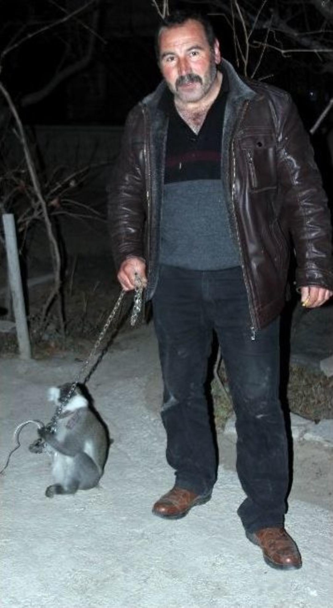 (&ouml;zel Haber) Kayseri&rsquo;de Maymun Yakalama Operasyonu