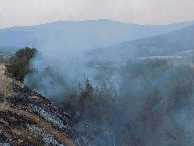 Kuraklık Nedeniyle Örtü Yangınları Devam Ediyor