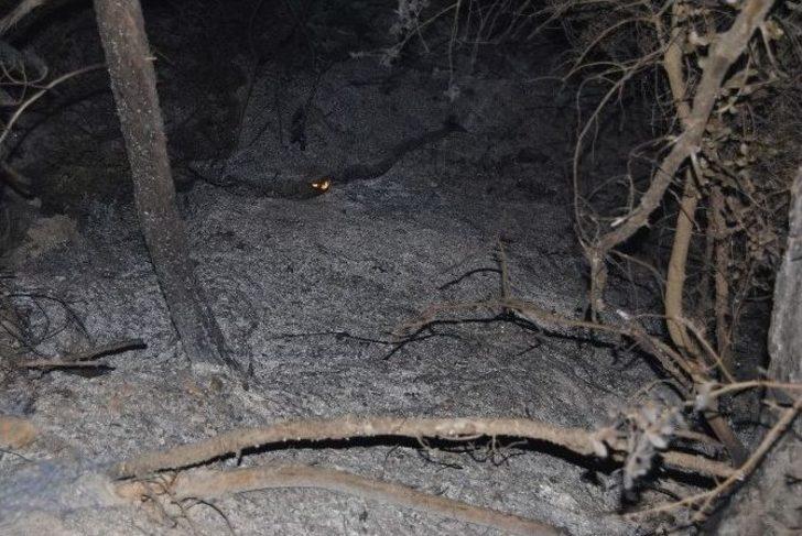 Suriye Sınırındaki Yangın Türkiye’ye Sıçradı G3