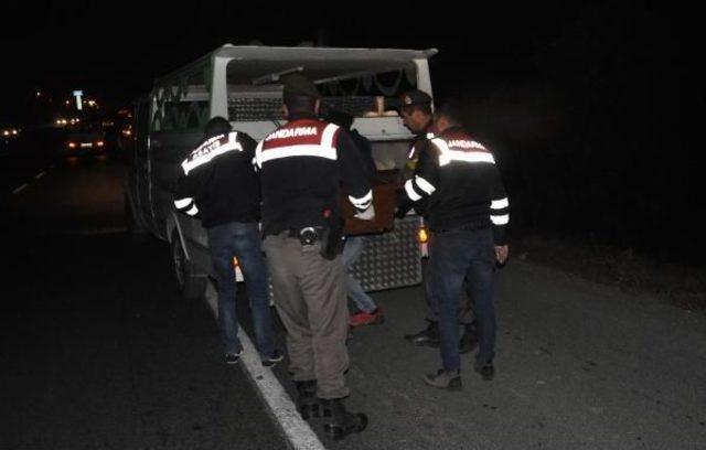 Yol Kenarında Ölü Olarak Bulundu