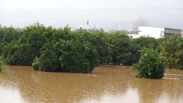 Mersin'de Şiddetli Yağış Nedeniyle Okullar Tatil Edildi (3)