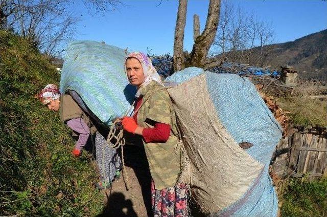 Karadeniz Kadını Zor Yükün Altına Giriyor