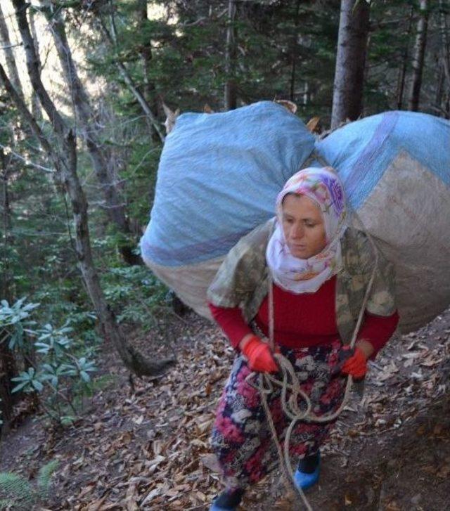 Karadeniz Kadını Zor Yükün Altına Giriyor