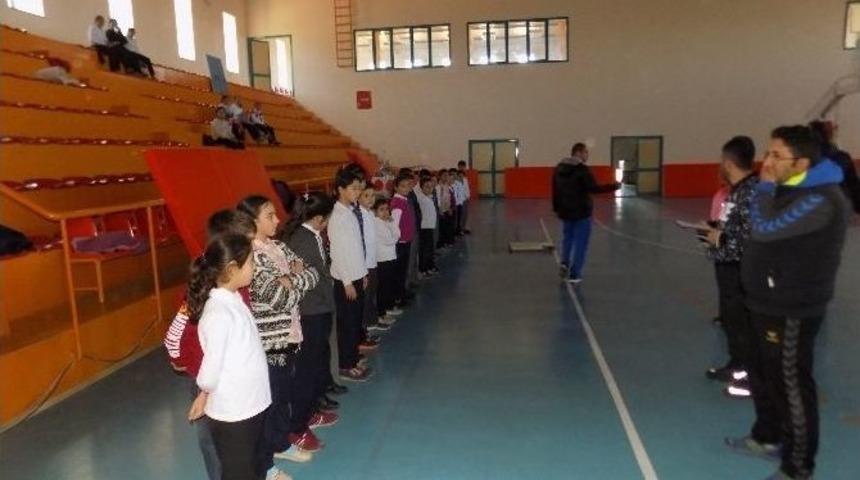 Türkiye Yeni Yeteneklerini Arıyor