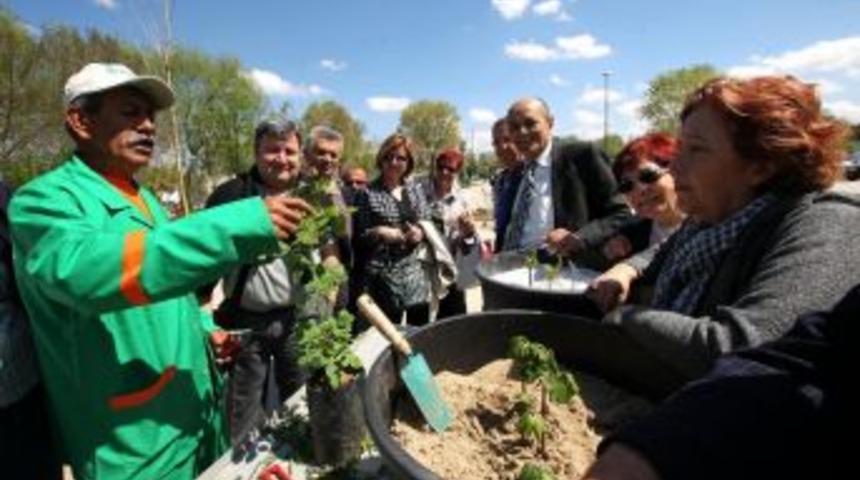 Bah&ccedil;ıvanlık Kayıtları Başlıyor