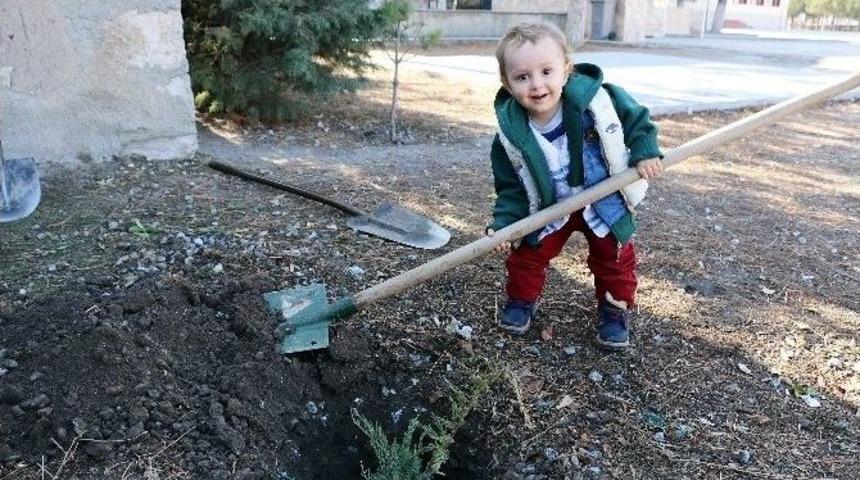 "fidanlar Bizden, Dikmesi Sizden" Projesi Seyitgazi&rsquo;de