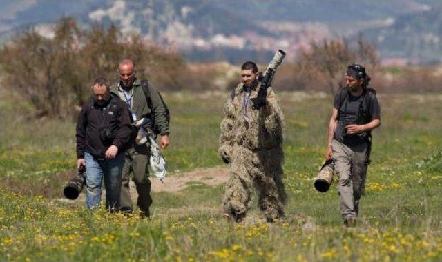 Birincilik Ödülü 'karabatak Ve Pelikan' Fotoğrafının