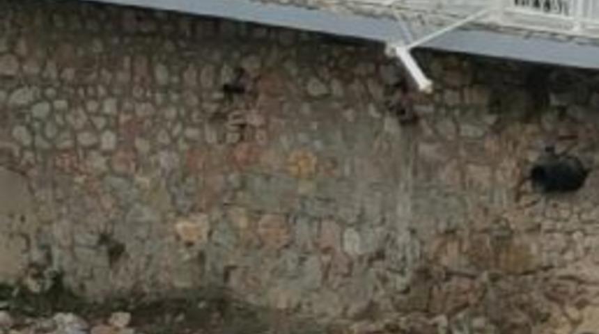 Otomobil Nehre U&ccedil;tu, Anne Ve Bebeği &Ouml;l&uuml;mden D&ouml;nd&uuml;