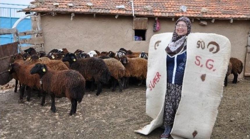 K&uuml;tahyalı 2 &Ccedil;ocuk Annesi Kadın &rsquo;gen&ccedil; &Ccedil;ift&ccedil;i Hibe Destek&rsquo; Projesi İle K&ouml;y&uuml;ne Geri D&ouml;nd&uuml;