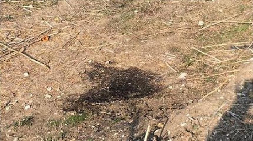 Maden Iş&ccedil;isi Yanarak &Ouml;ld&uuml;