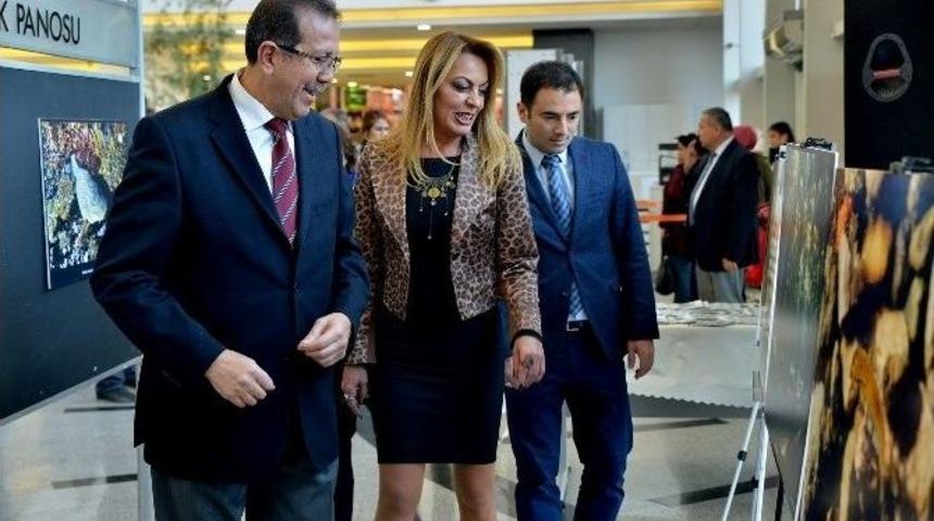 Eskişehir&rsquo;de &ldquo;suyun Ger&ccedil;ek Sahipleri&rdquo; Adlı Fotoğraf Sergisi