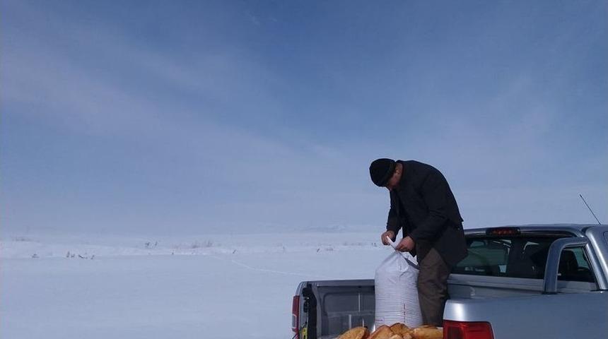 Saray&rsquo;da Doğaya Yem Bırakıldı