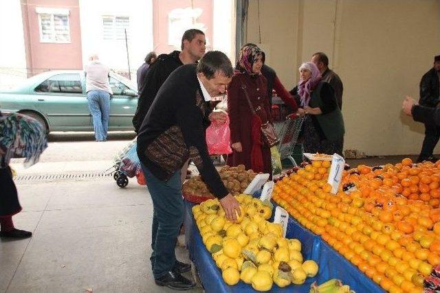 Bilecik Ayvasına Yoğun İlgi