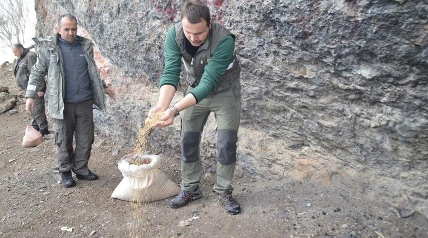 Necati Kara Hayrang&ouml;l Dağlarında