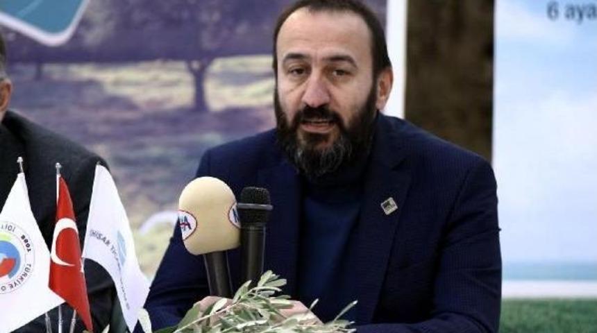 D&uuml;nya Zeytin G&uuml;n&uuml;'ne Prim Desteği &Ccedil;ağrısı