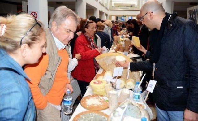 Peynircileri Bodrum'da Buluşturan Festival