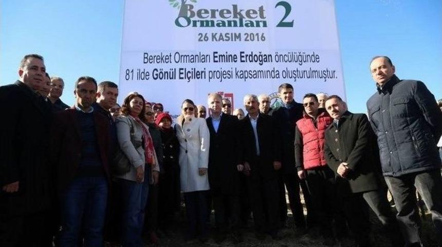 Sivas&rsquo;ta &rsquo;2. Bereket Ormanı&rsquo; Oluşturuldu