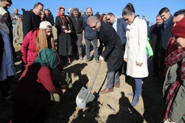 Sivas’ta ’2. Bereket Ormanı’ Oluşturuldu