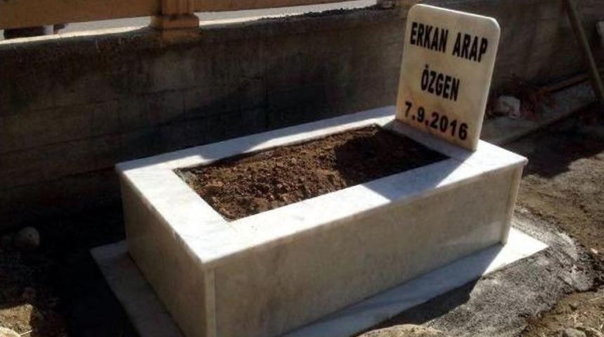 Kedisinin Hatırasını Mezar Taşında Yaşatıyor