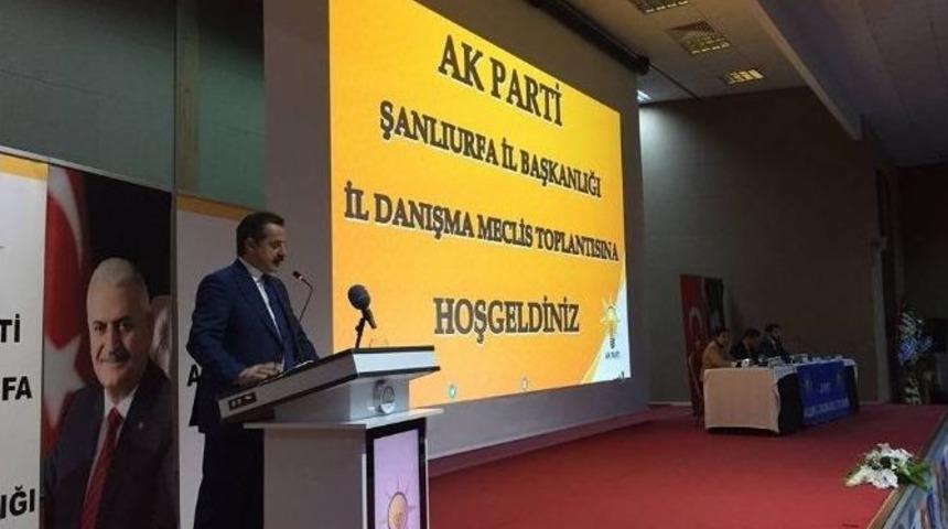 Bakan &Ccedil;elik&rsquo;ten Ap&rsquo;nin Kararına Tepki