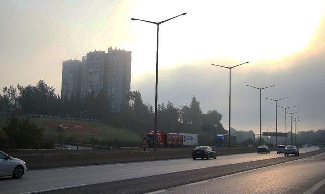 Adana Güne Sisle Başladı 1