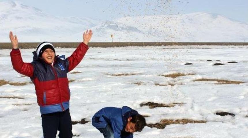 Yaban Hayvanlarına Yem