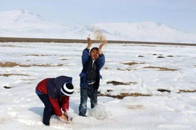 Yaban Hayvanlarına Yem